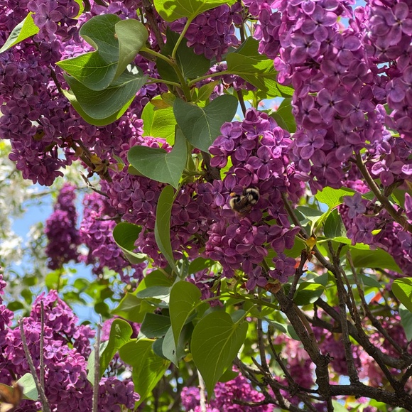 Hello! - Picture 2 of 2